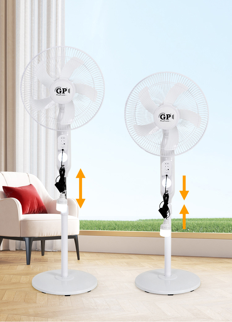 2024 06 26 10 29 img 5330