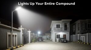 whisk 30d0067494f933d93a94b01a400d4642dr