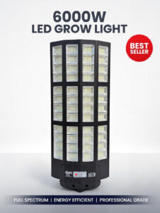 grok image 9d04a44e 3410 48e9 b2fc 03b8d3d67c76